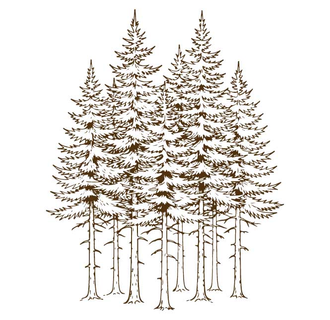 ecodeco pinos