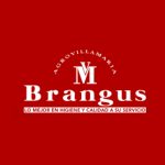 Brangus